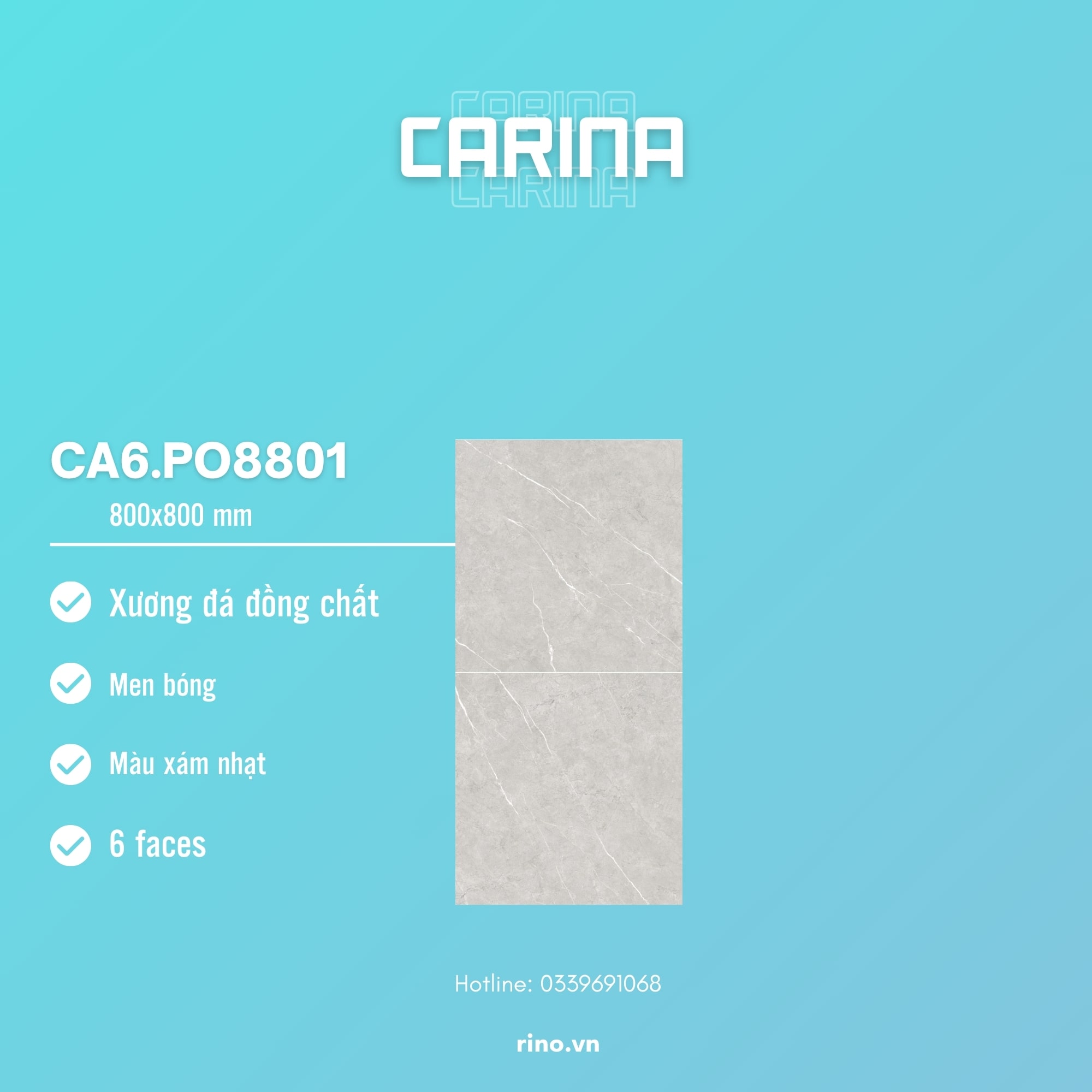 gach-carina-ca6-po8801