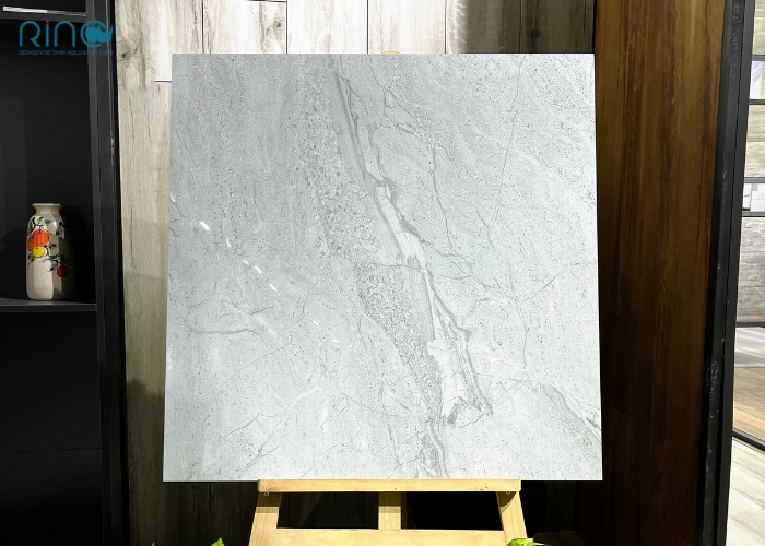 gach-granite-dong-chat-carina-ca1-po8801