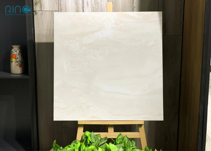 gach-granite-dong-chat-carina-ca2-po8801