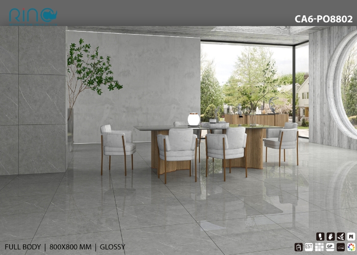 gach-mai-bong-carina-ve-dep-cua-su-hoan-hao