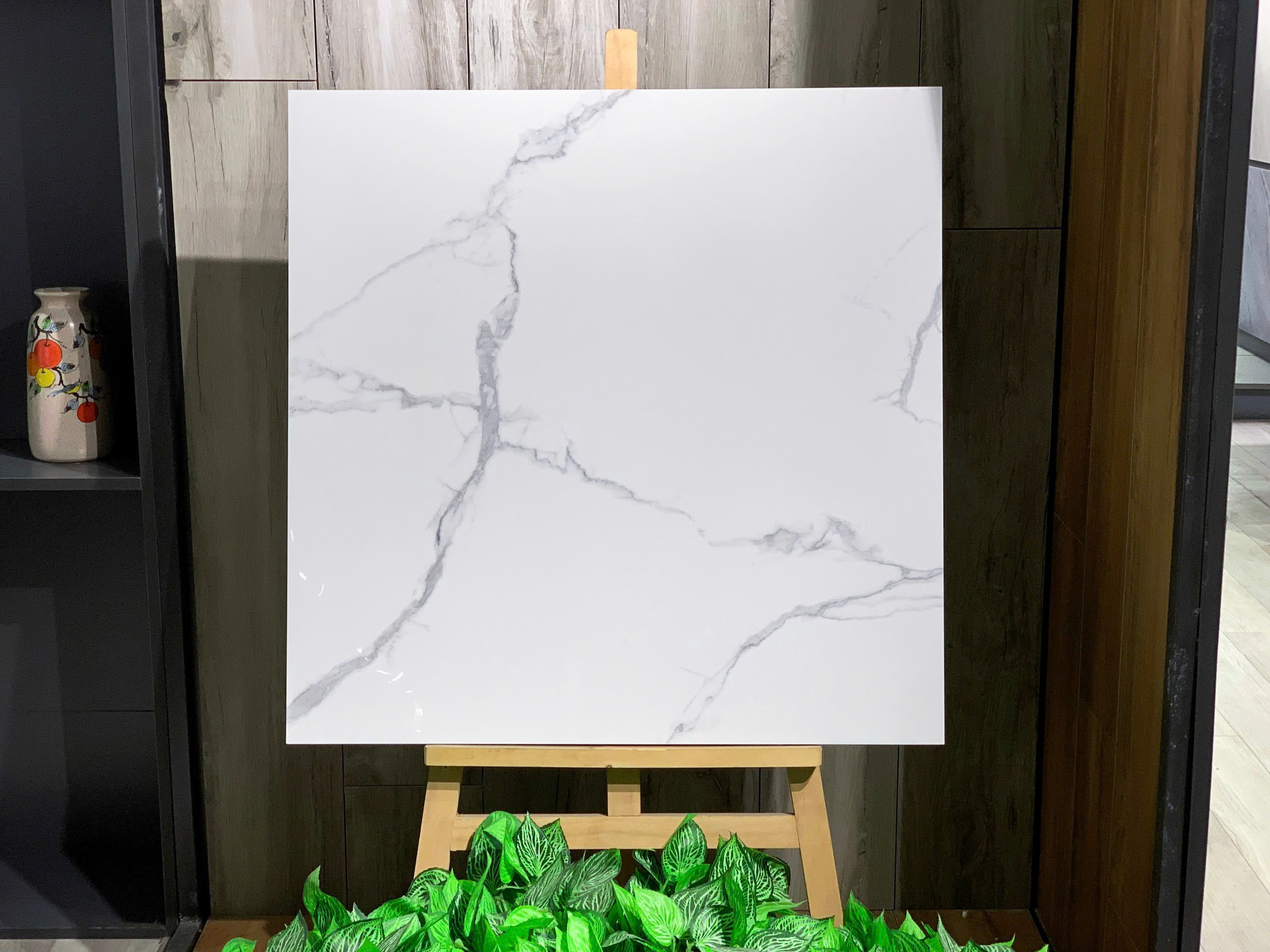 gach-carina-ca6po8806