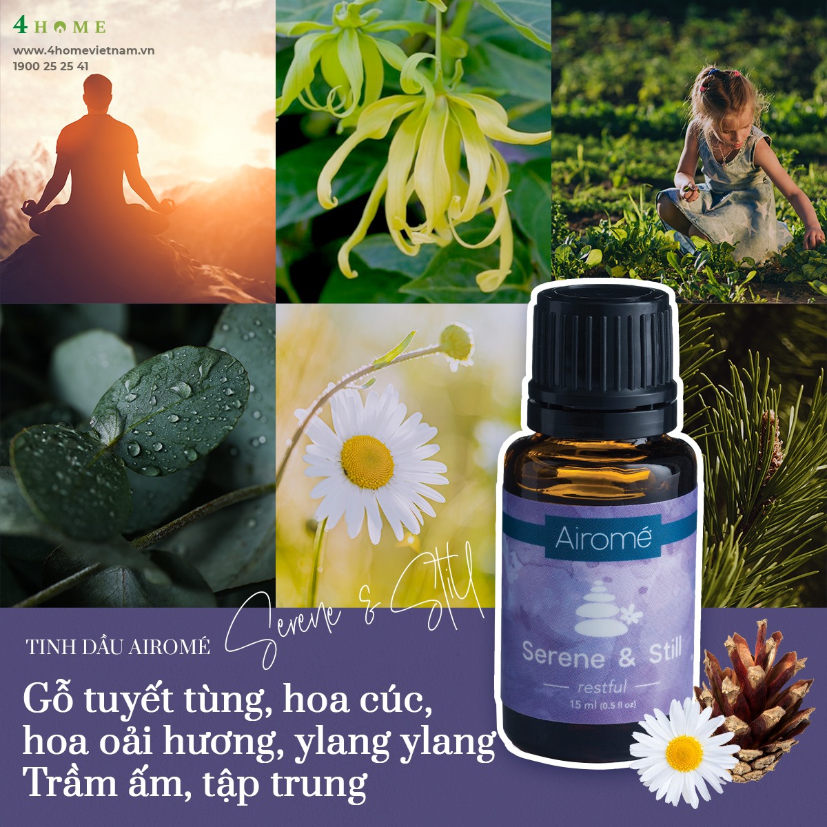 HƯƠNG THƠM THIỀN ĐỊNH TẠO CẢM GIÁC THƯ THÁI, TĨNH TẠI HƯƠNG THƠM THIỀN ĐỊNH TẠO CẢM GIÁC THƯ THÁI, TĨNH TẠI