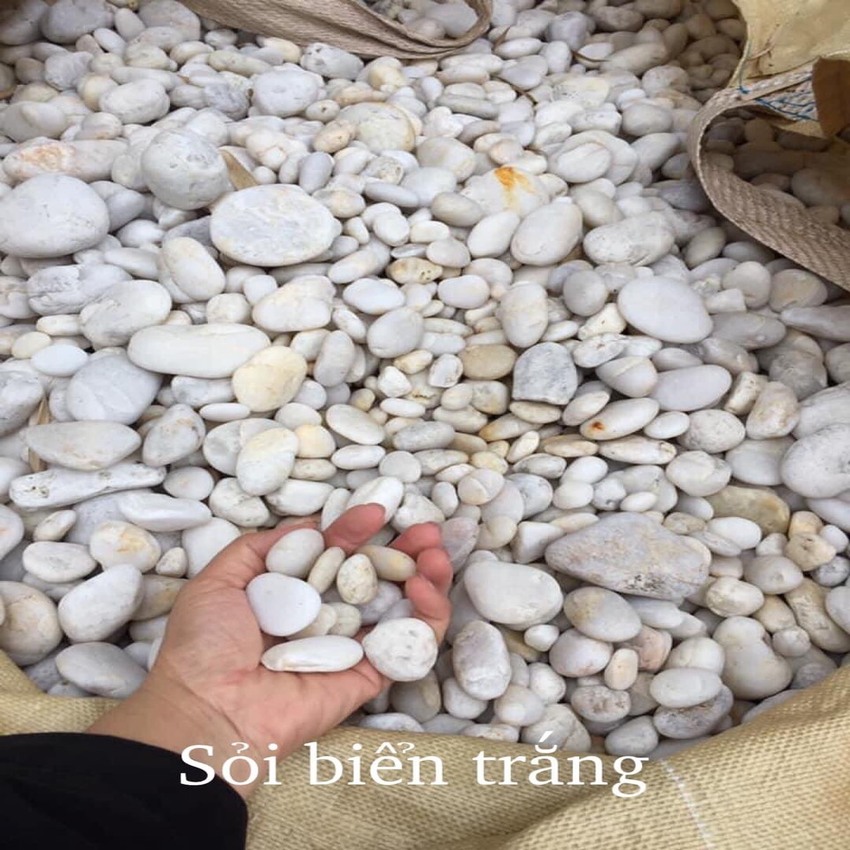 Sỏi tự nhiên Trắng
