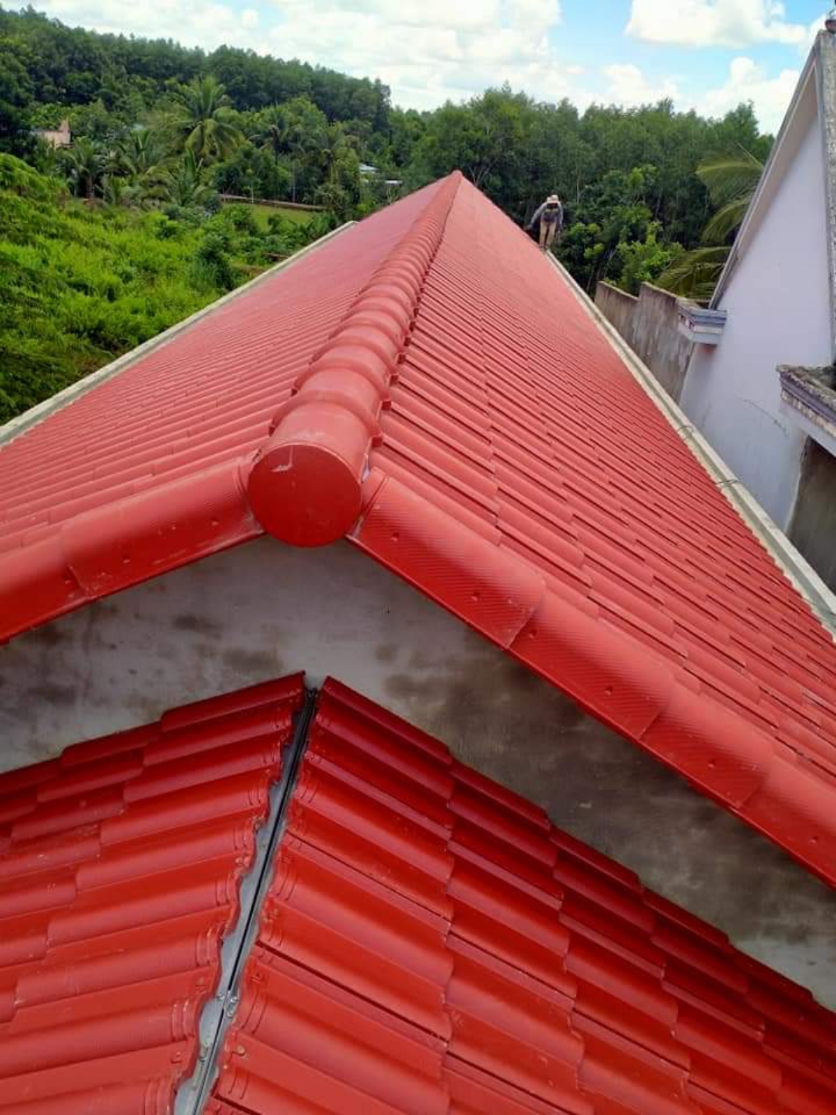 cac dang ngoi trang men