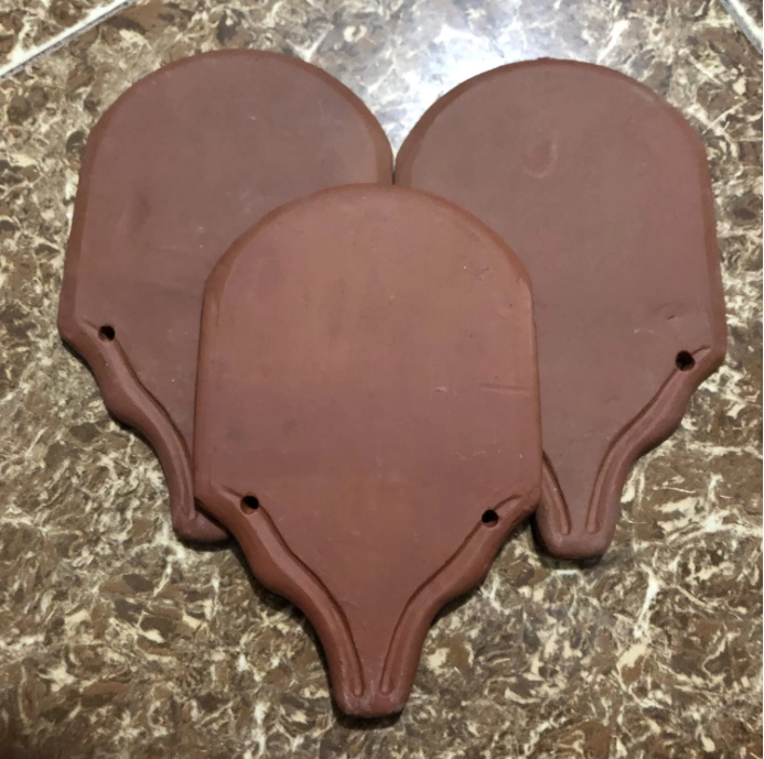 Tìm hiểu ngói ESACAMA là gì