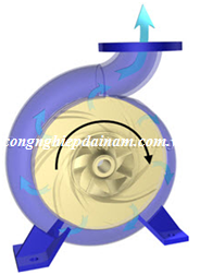 H1: Nước sau khi rời khỏi cánh bơm được gom lại trong lớp vỏ cánh và di chuyển theo dòng .