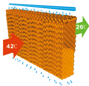 Nguyên lý bay hơi của tấm làm mát cooling pad