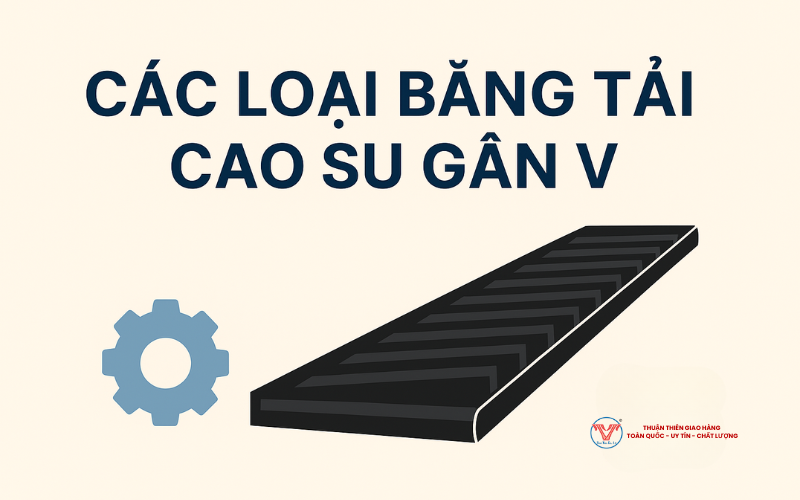 cac-loai-bang-tai-cao-su-gan-v