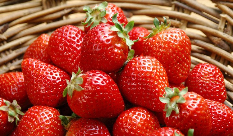 Tại sao bạn nên ăn dâu tây?