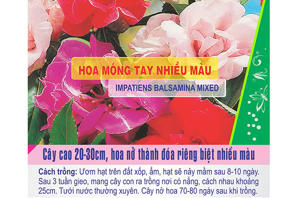 Gói 50 Hạt Giống Hoa Móng Tay Nhiều Màu