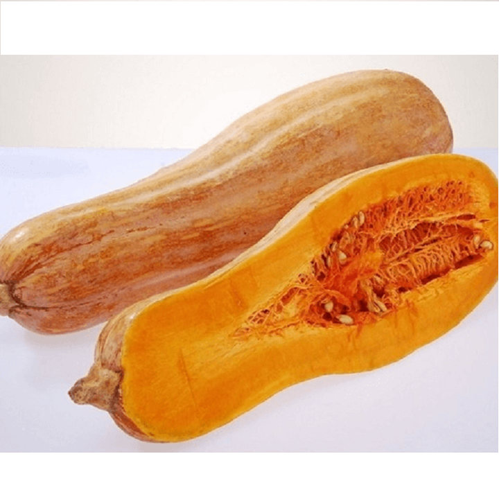 Gói 5g hạt giống bí đỏ dài (bí sáp)