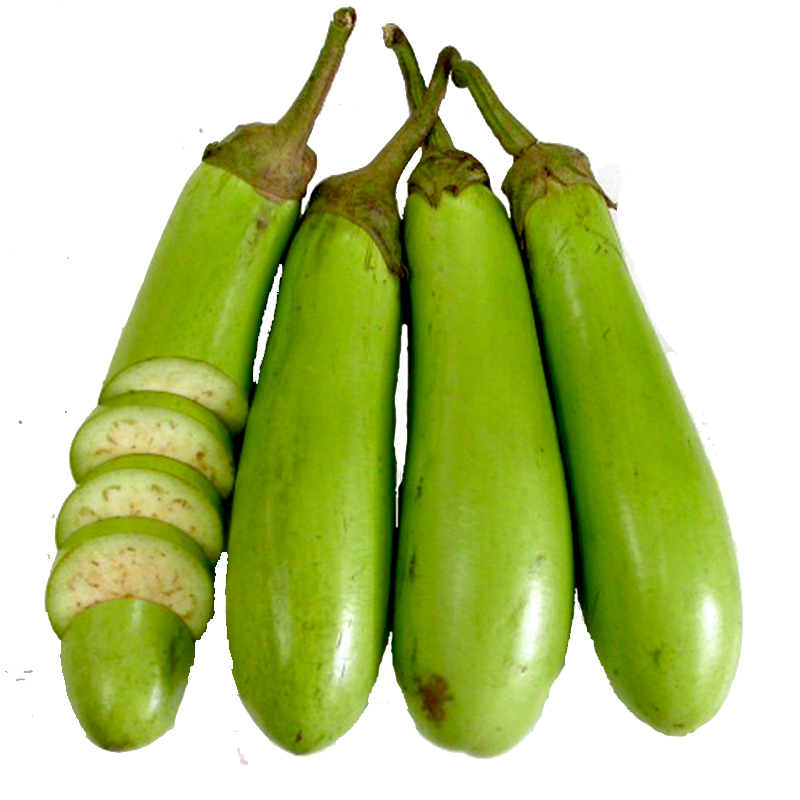 Gói 0.2gr Hạt giống cà xanh Mỡ