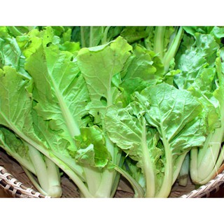 Gói 10g hạt giống cải bẹ dún