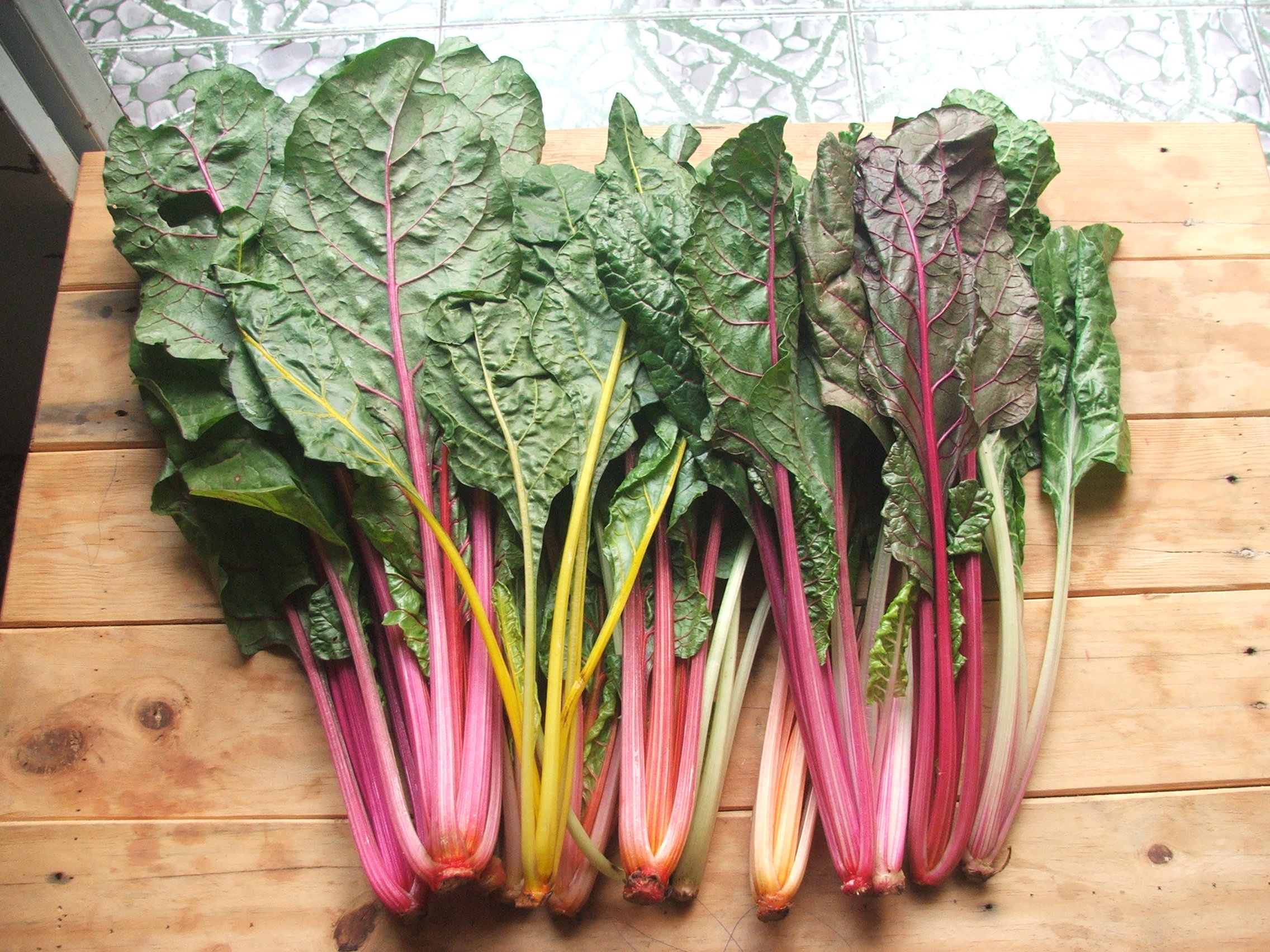 Gói 10g hạt giống cải cầu vồng