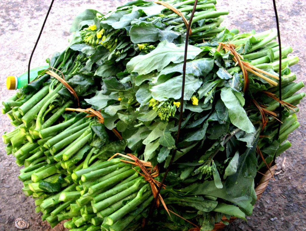 Gói 10g hạt giống cải làn Thái Lan