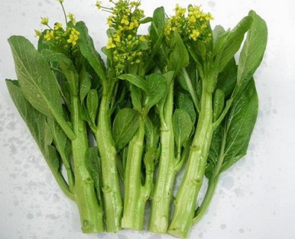 Gói 20g hạt giống cải ngồng Nanuseeds