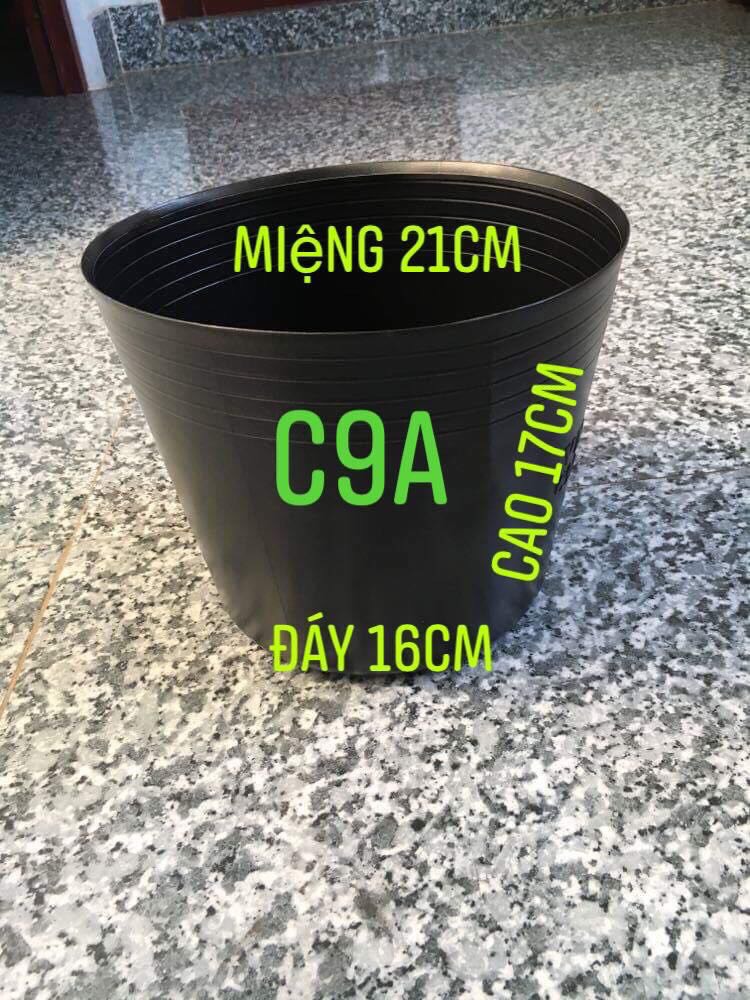 Combo 10 chậu nhựa đen size C9A KT: 21x16x17cm mềm dẻo bền đẹp