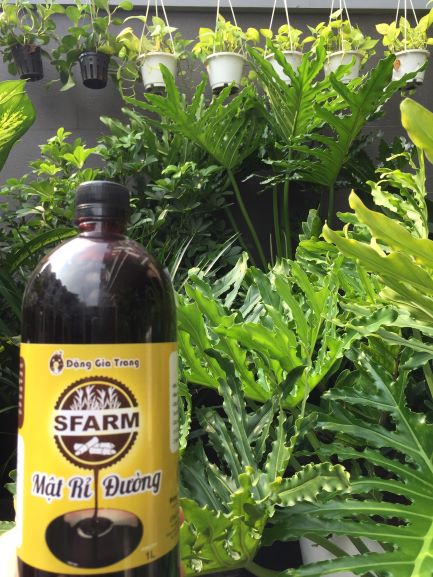 CHAI 1 LÍT MẬT RỈ ĐƯỜNG CHẤT LƯỢNG CAO