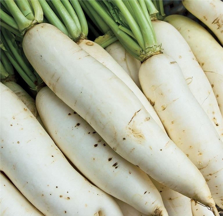 Combo sỉ 5kg củ cải trắng New Zealand size hạt to loại ko bao bì