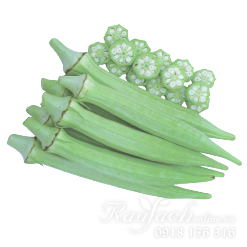 Gói 20g hạt giống đậu bắp cao sản