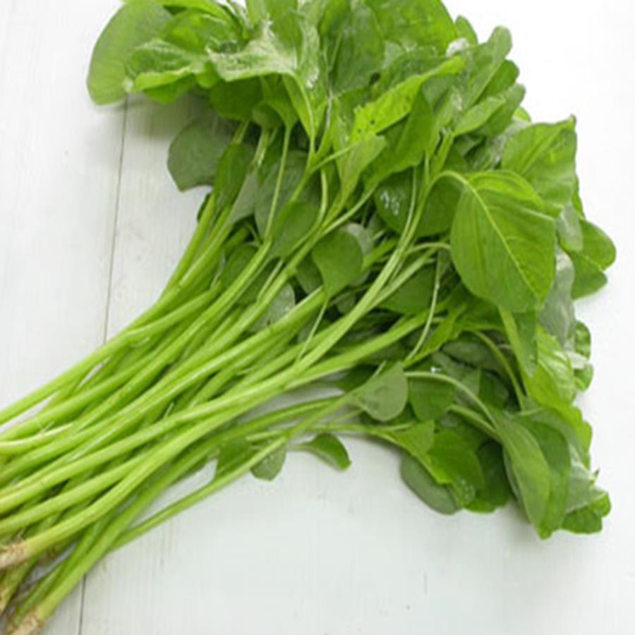 Gói 20g hạt giống rau dền Xanh - Nanuseeds