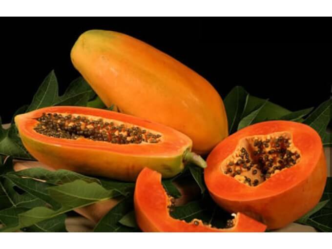 Gói lớn 250 hạt giống đu đủ ruột đỏ hồng phi