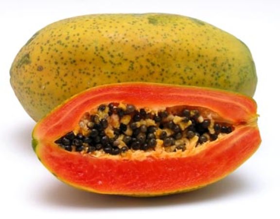 Gói 5 hạt giống đu đủ F1 ruột đỏ hồng phi