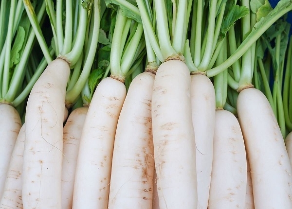 Combo sỉ 5kg củ cải trắng New Zealand size hạt to loại ko bao bì