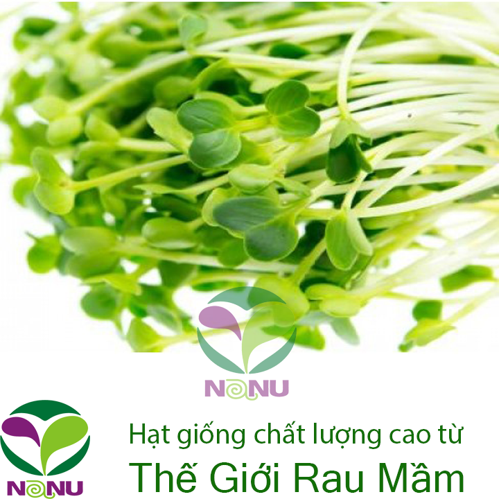 Gói 100g Hạt Giống Rau Mầm Củ Cải Trắng Ấn Độ _ Thế Giới Rau Mầm