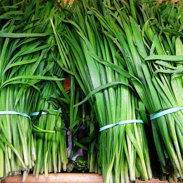 Gói 1g hạt giống hẹ cao sản Nhật Bản