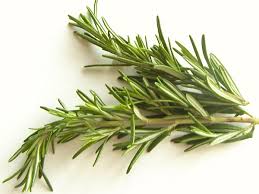 Gói 20 Hạt giống Cây Hương Thảo - Rosemary