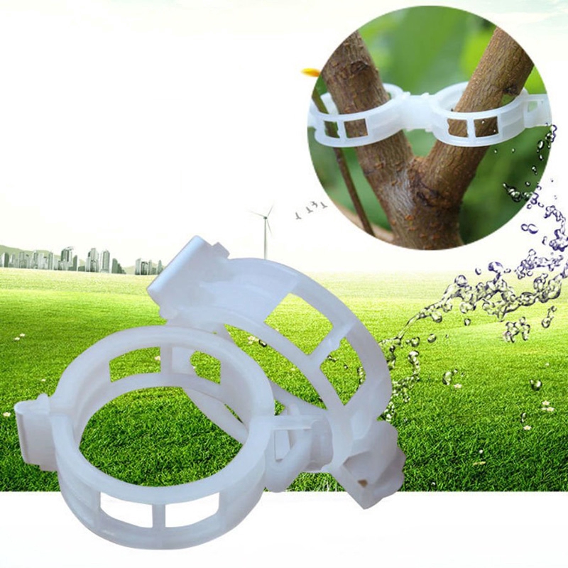 Bộ 50 kẹp cố định cây - dùng cố định các cây leo giàn như cà chua, các loại dưa, bầu, bí