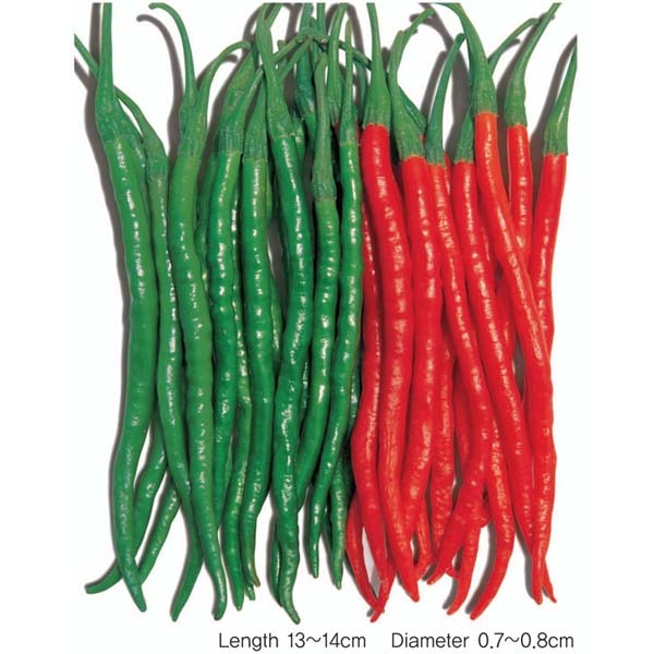 Gói 0.2g hạt giống ớt trái dài hàn quốc