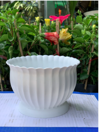 Chậu khía bầu nhựa PP màu trắng - 180