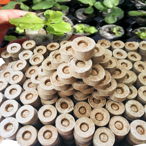 10 viên nén ươm hạt