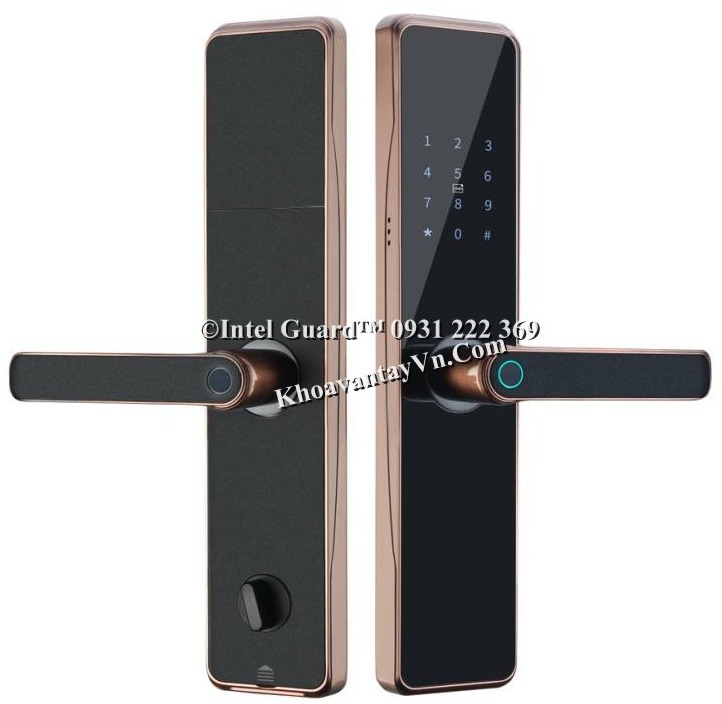 Khóa cửa vân tay thông minh MK21 màu đồng