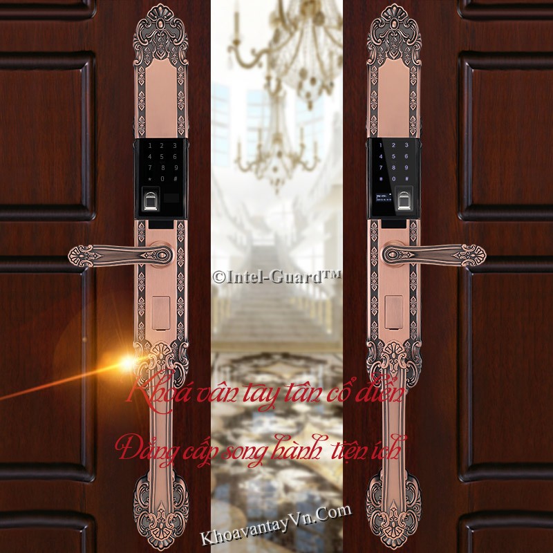 Khoá vân tay biệt thự tân cổ điển khoá cửa vân tay tân cổ điển KBT810 đẳng cấp song hành cùng tiện ích.