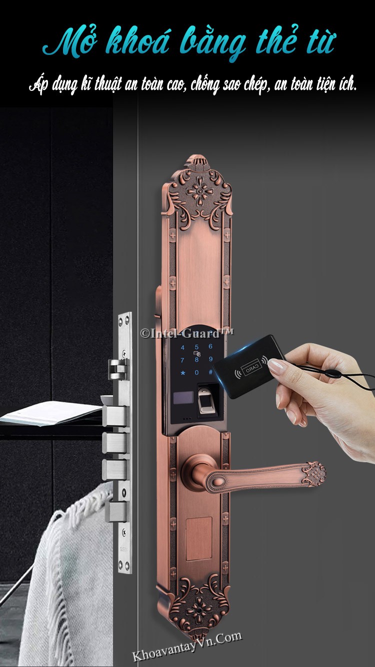 Khoá cửa vân tay tân cổ điển với phương thức mở khoá cửa bằng vân tay và thẻ từ.