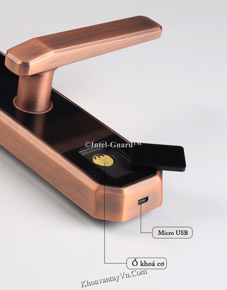 Khoá cửa thông minh có khoá cơ giấu kín