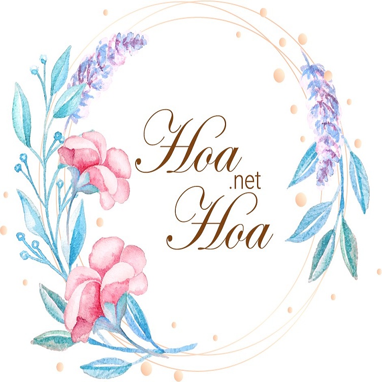 HOA ĐẸP GIÁ RẺ HOA ĐẸP GIÁ RẺ