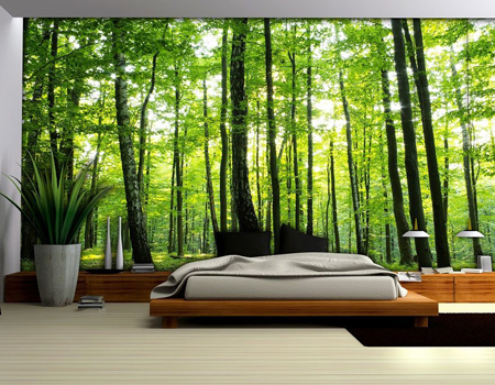 Địa chỉ đặt in giấy dán tường khổ lớn tại Hà Nội Địa chỉ đặt in giấy dán tường khổ lớn tại Hà Nội