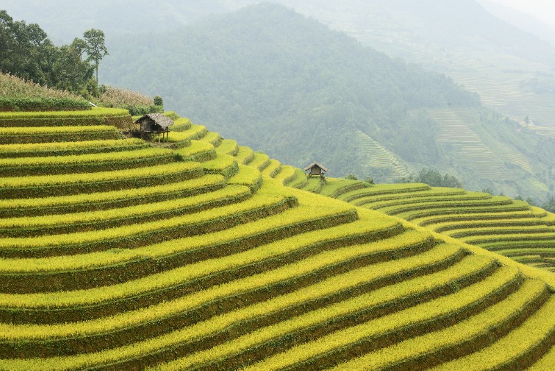 Tranh giấy dán tường phong cảnh thiên nhiên 3d siêu đẹp Tranh giấy dán tường phong cảnh thiên nhiên 3d siêu đẹp