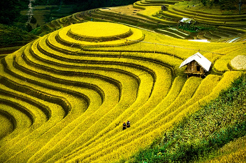 Tranh dán phòng khách sang trọng, hiện đại Tranh dán phòng khách sang trọng, hiện đại