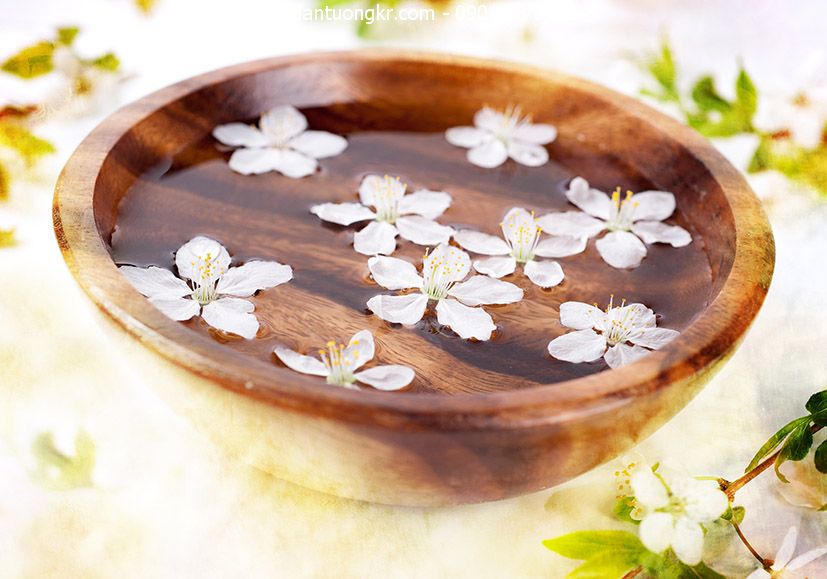 Tranh dán tường spa sang trọng, chuyên nghiệp Tranh dán tường spa sang trọng, chuyên nghiệp