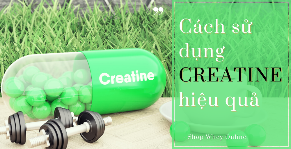 Creatine là gì? Cách sử dụng creatine hiệu quả cho người tập thể hình