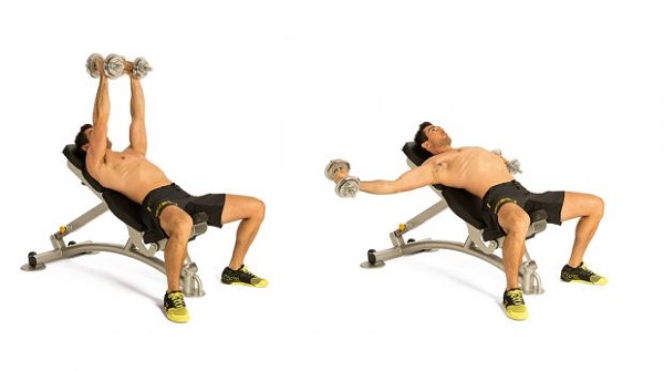 Bài tập Dumbbell Flye