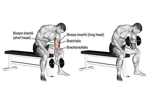 Bài tập cuốn tạ đơn