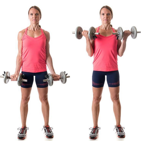 Bài tập cuộn tạ đơn