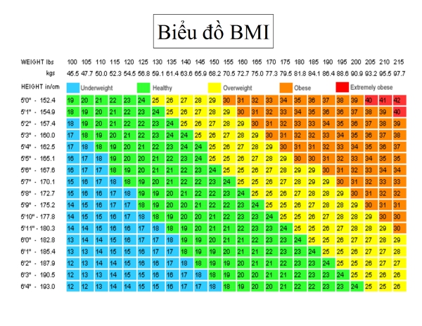biểu đồ bmi