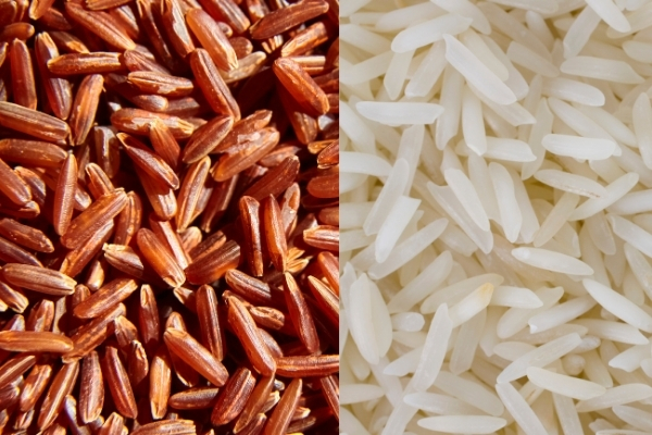 So sánh gạo lứt và gạo trắng